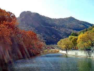 新澳天天开奖资料大全旅游团，夜舞倾城